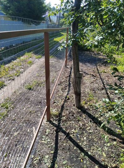 Участок 4,4 сот. (ИЖС)