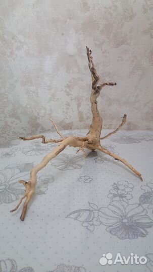 Коряги для аквариума