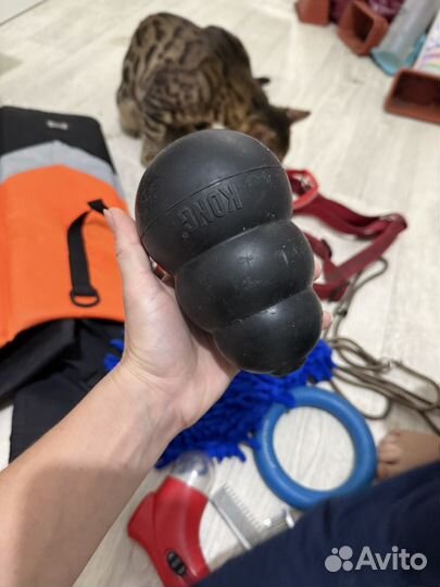 Игрушки ошейники и щетки доя собак