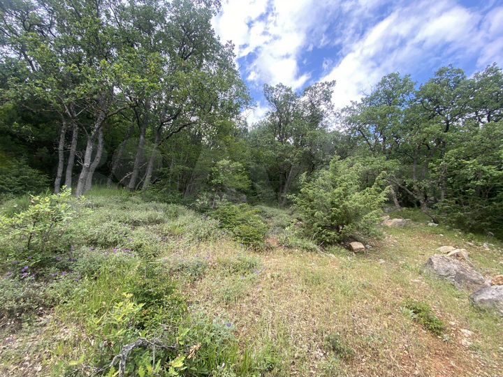 Участок 15 сот. (ИЖС)