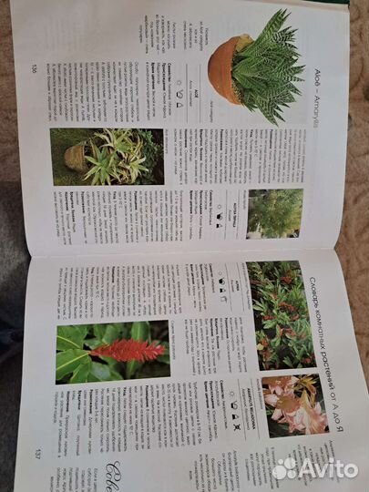 Справочник по уходу за комнатными цветами