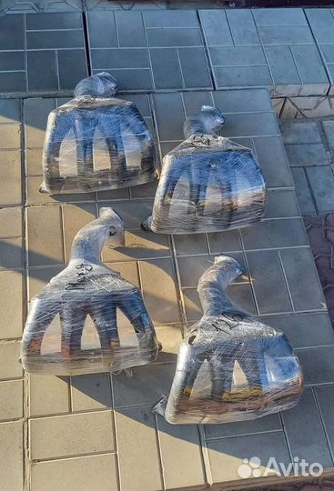 Ресиверы TM-race