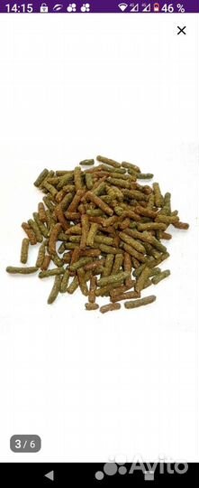 Корм для морских свинок