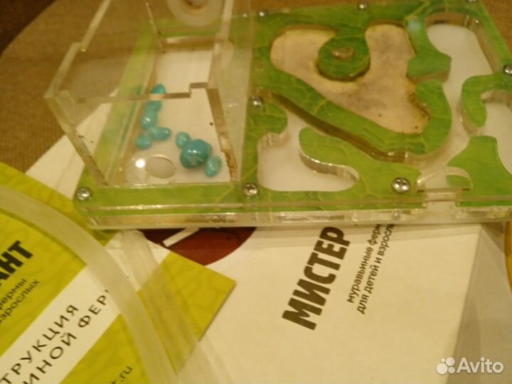 Муравьиная ферма без муравьев