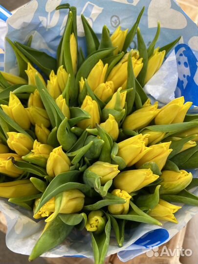 Букет тюльпанов