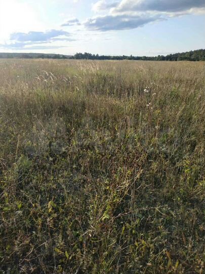 Участок 12 га (СНТ, ДНП)