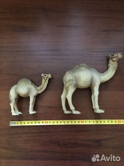 Сувенир Верблюды
