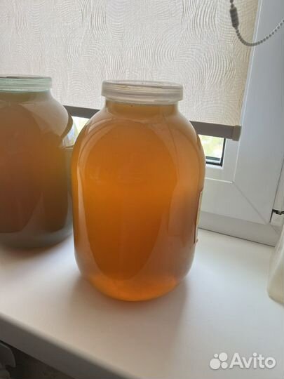 Свежий мед 2023