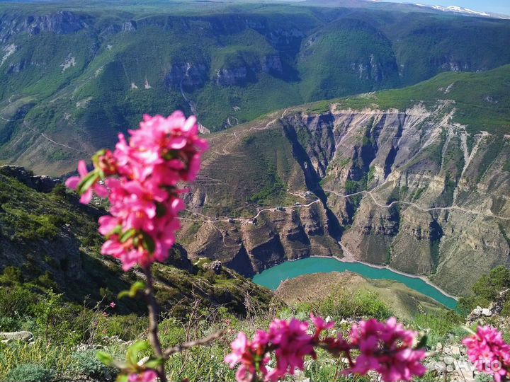 Экскурсии по Дагестану