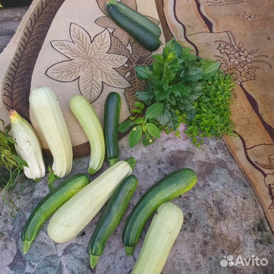 Тыква кабачки терн шиповник калина