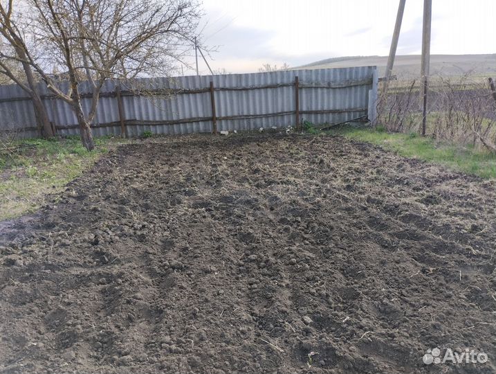 Спил деревьев