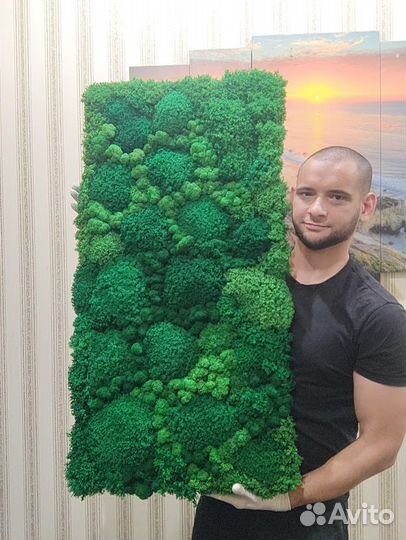 Вечно живой мох на готовых панелях 25х50см