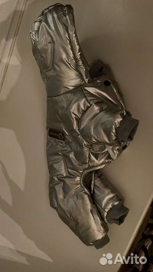 Одежда для собак