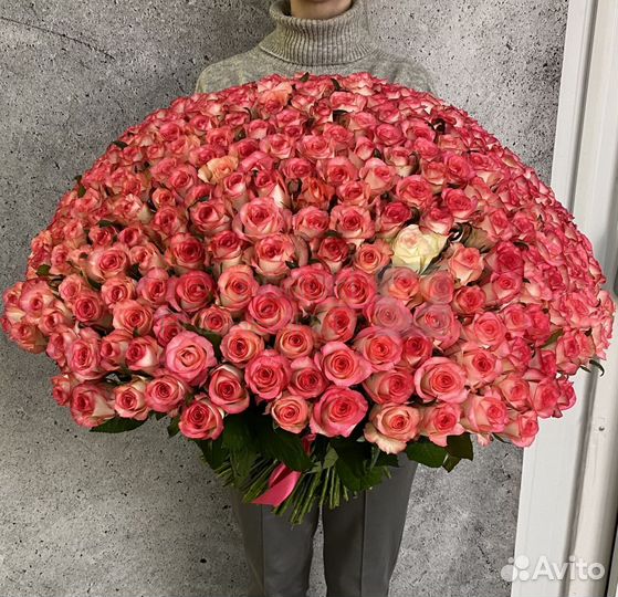 Букет из 301 розы Голландия