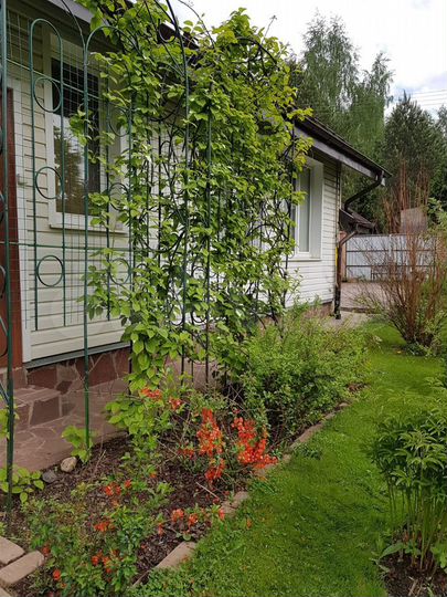 Дом 129,4 м² на участке 7,8 сот.