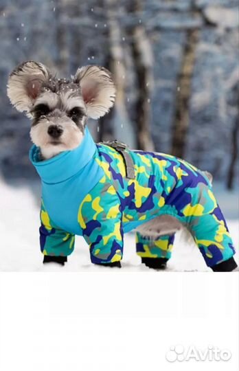 Комбинезон для собак мелких пород