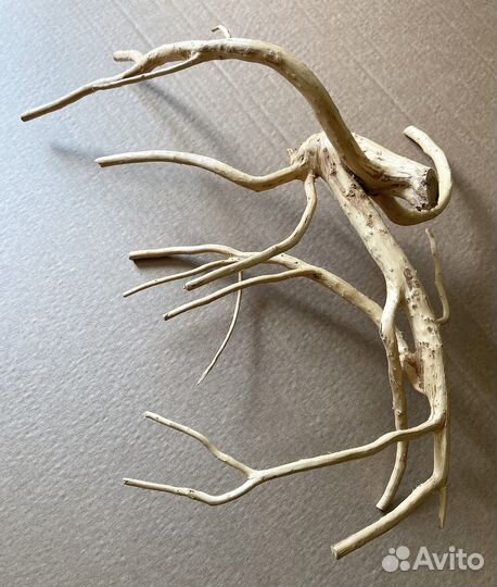 Ветка, коряга. Для эко декора или аквариума
