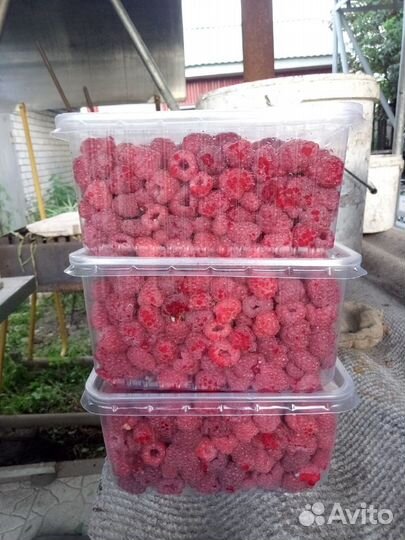 Продам малину