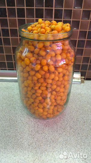 Облепиха свежая