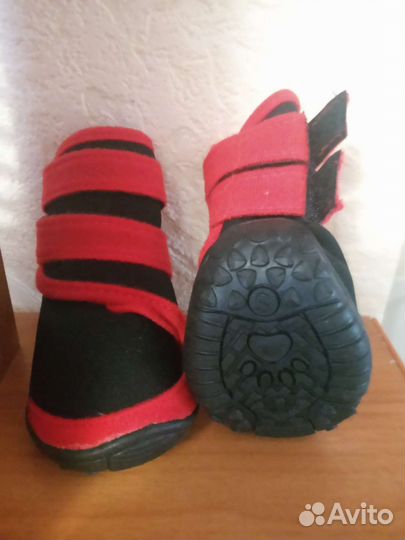 Зимняя обувь для собак