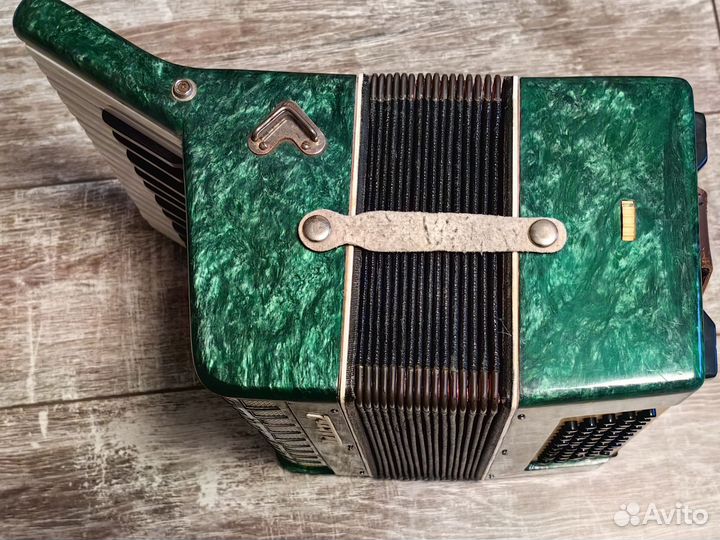 Аккордеон Теза Юность 2 начинающим