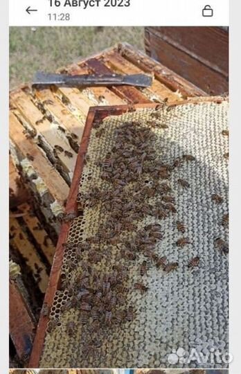 Для пчеловодства