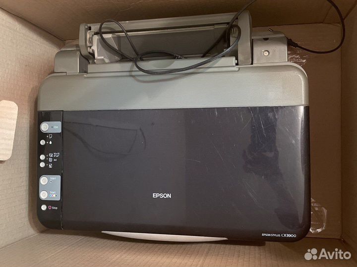 Мфу epson cx3900
