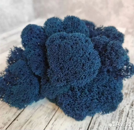 Стабилизированный мох синий