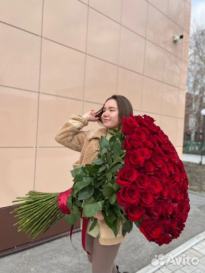 Премиум роза Эквадор метровая. Роза 100 см