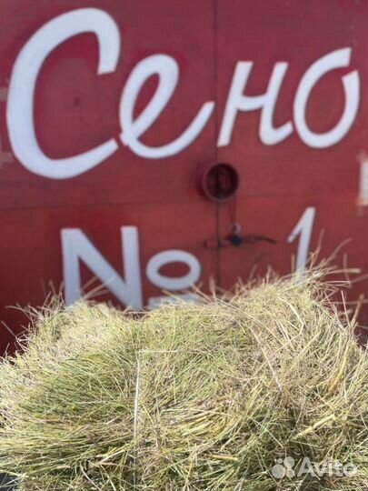 Сено и Стружка в тюках