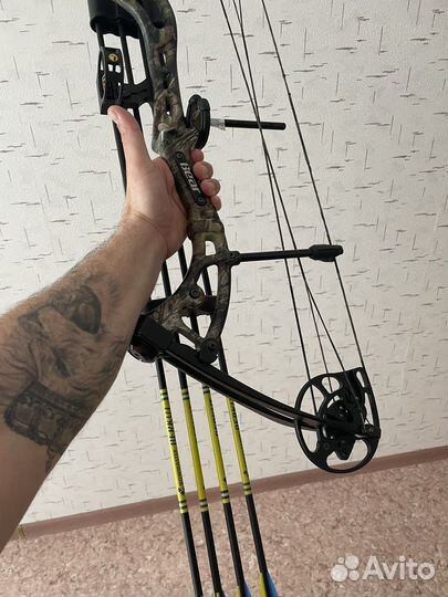 Лук блочный bear Apprentice 3 Realtree RTH