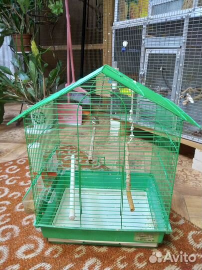 Клетки для волнистых попугаев
