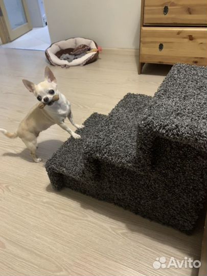 Лесенка для собак