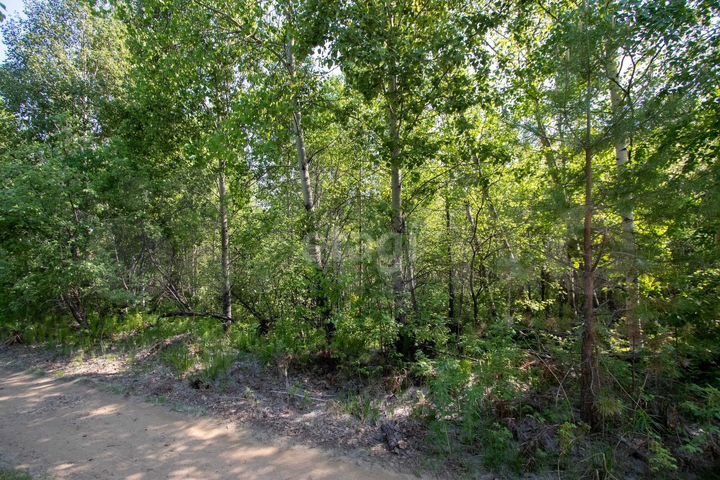 Участок 19,2 сот. (СНТ, ДНП)