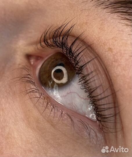 Ресницы, брови