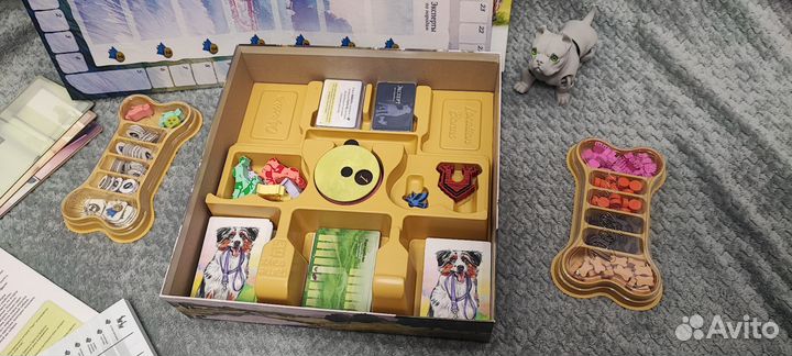 Прогулки с собаками в идеале