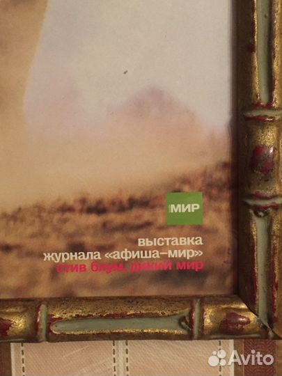 Постер с выставки Стива Блума 