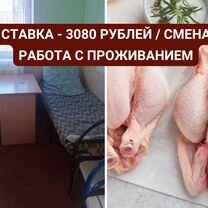 Вахта с проживанием и питанием / Иваново / Рабочий