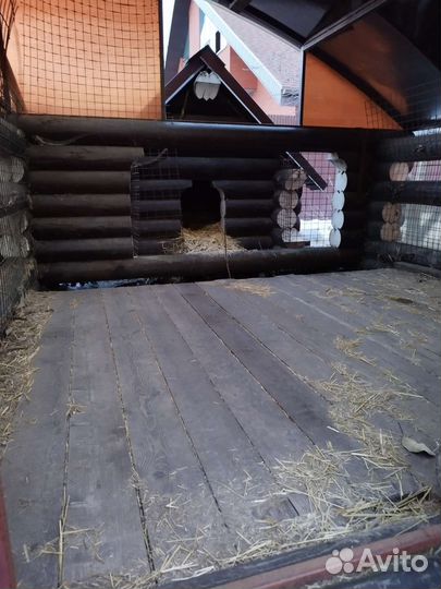 Домики для собак больших