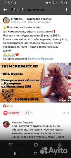 Поиск