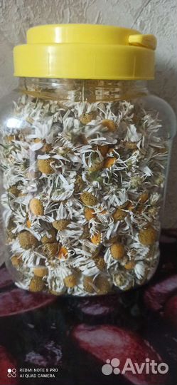 Чабрец лимонный и другие травы