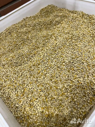 Цветочная пыльца весенняя сбор 2023 года