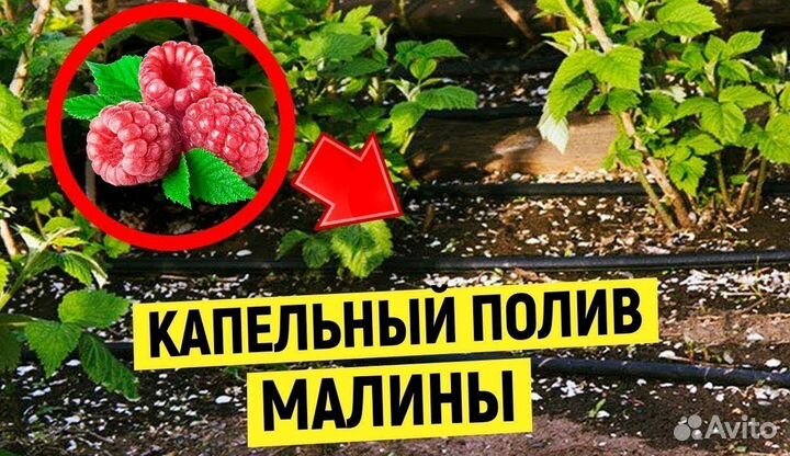 Слепая капельная трубка (многолетняя) 100 м