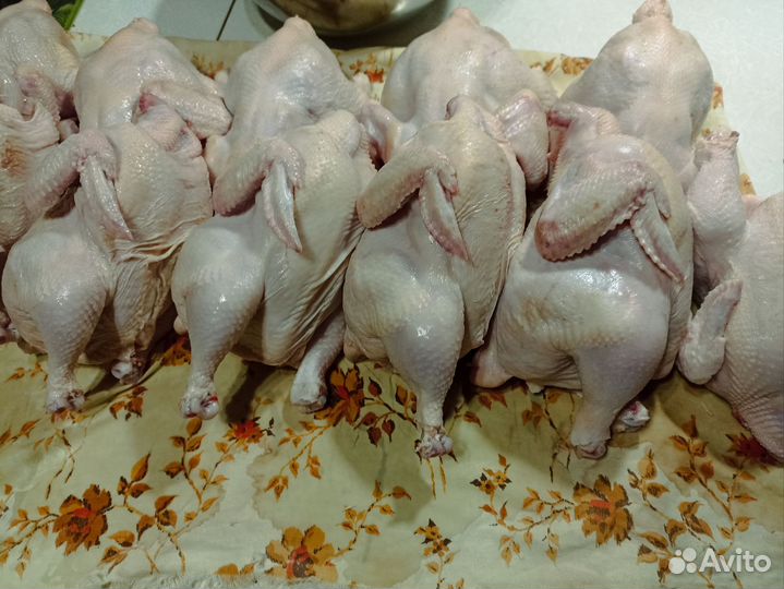 Мясо домашней птицы