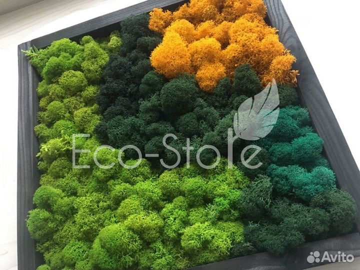 Картина из мха микс оранжевый 30x30 см