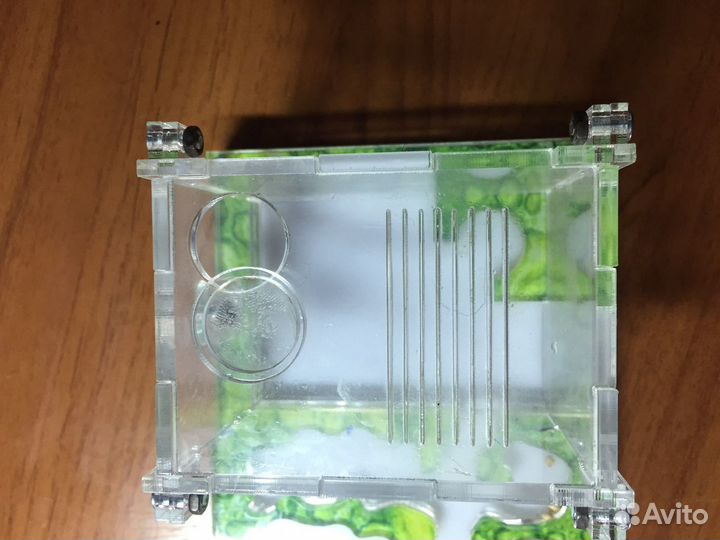 Муравьиная ферма без муравьев