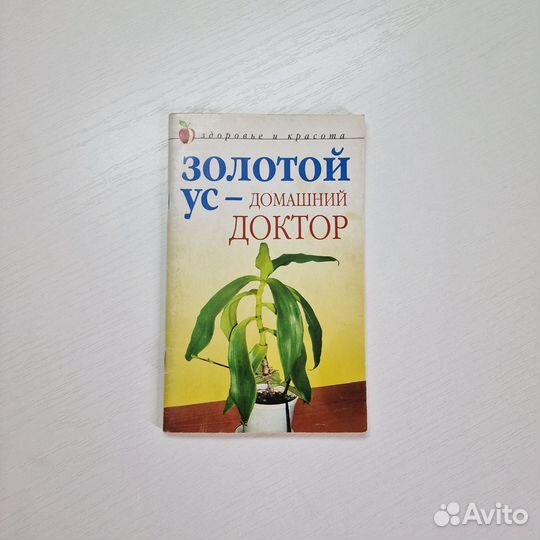 Золотой ус - домашний доктор