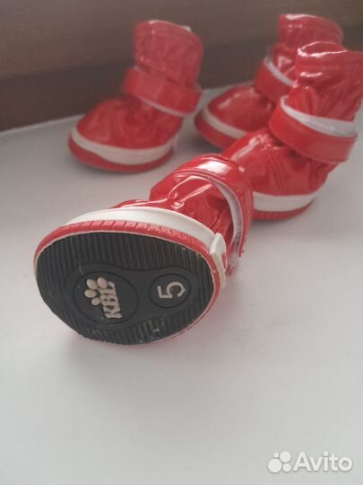 Ботинки для собаки