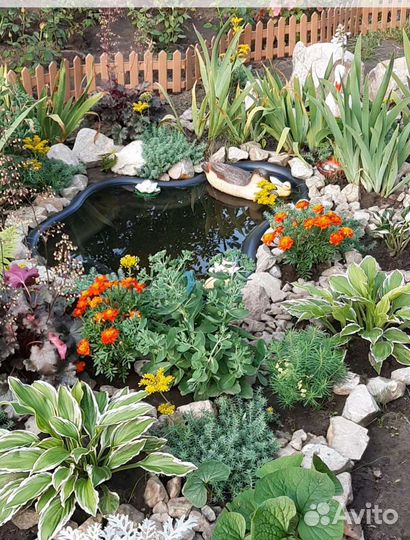 Мини пруд на 135л