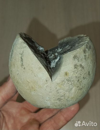 Конкреция с кристаллами кварца 2